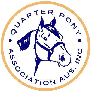 Aussie Quarter Pony